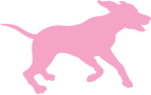 active-dog-pink